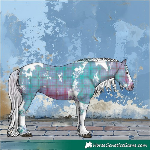 Horse Color:Watercolor Plaid White Spotted Silver Brown Splash Tobiano