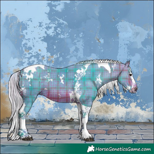 Horse Color:Watercolor Plaid  White Spotted Silver Brown Splash Tobiano 