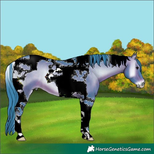 Horse Color:Watercolor Brown Onyx Tobiano 
