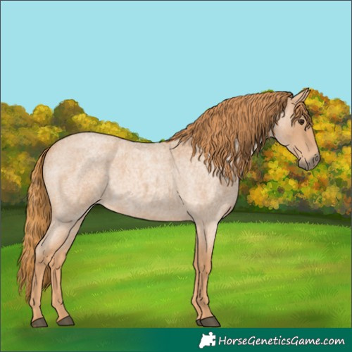 Horse Color:Red Roan