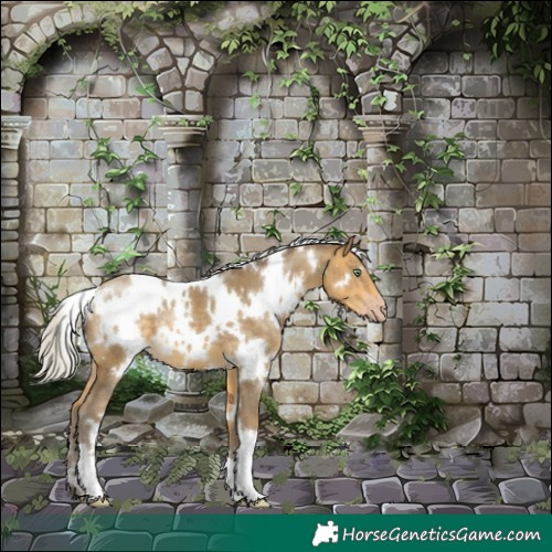 Horse Color:White Spotted Silver Sable Cream Champagne