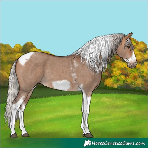 Horse Color:Silver Bay Dun Sabino Tobiano Frame Rabicano
