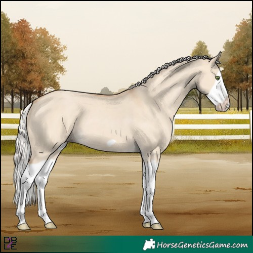 Horse Color:Silver Classic Champagne Dun Splash Frame 
