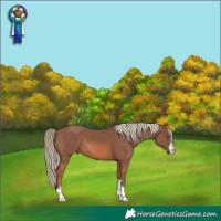 Horse Color:Chestnut Mushroom