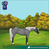 Horse Color:Liver Red Roan Mushroom 