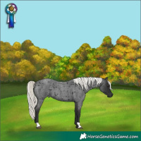 Horse Color:Liver Red Roan Mushroom 