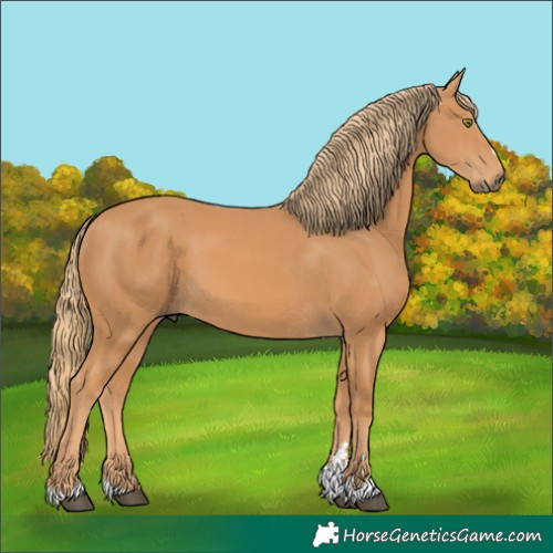 Horse Color:Chestnut 