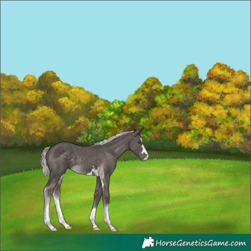 Horse Color:Platinum Chocolate Palomino