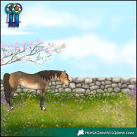 Horse Color:Buckskin 