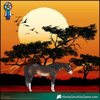 Horse Color:Brown Splash 