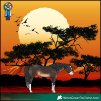 Horse Color:Brown Splash 