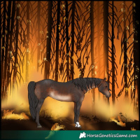 Horse Color:Brown 