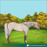 Horse Color:Silver Brown Roan Dun 