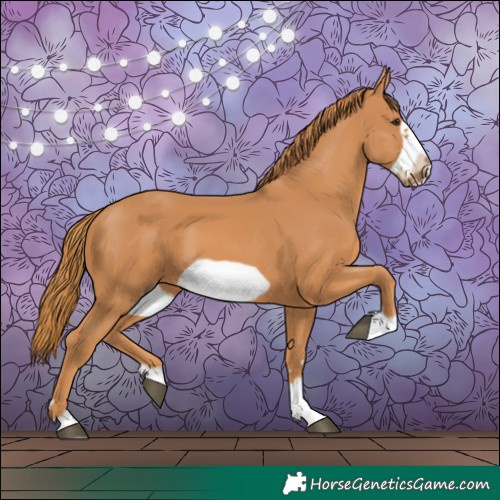 Horse Color:Chestnut Frame 