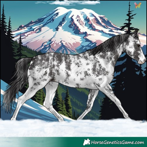 Horse Color:Smoky Black Sabino 