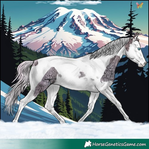 Horse Color:Watercolor Silver Sable Champagne Ice Dun Splash Tobiano Rabicano