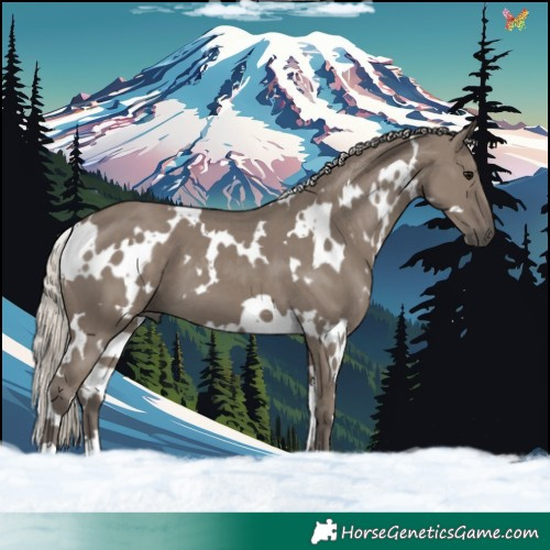Horse Color:White Spotted Silver Smoky Grullo 