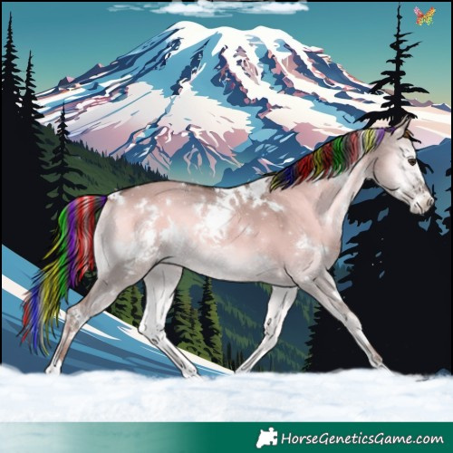 Horse Color:Painted White Spotted Liver Red Dun Onyx 