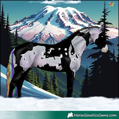 Horse Color:Painted Watercolor White Spotted Sable Champagne Dun Splash Tobiano