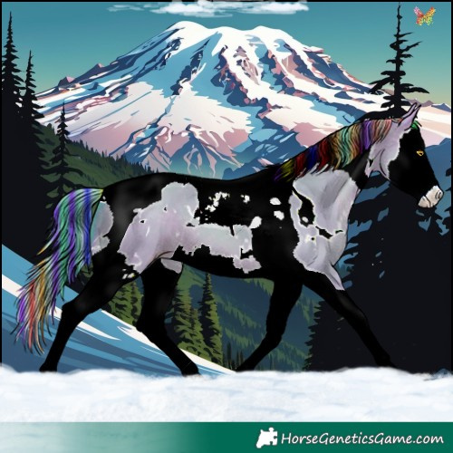 Horse Color:Painted Watercolor White Spotted Sable Champagne Dun Splash Tobiano