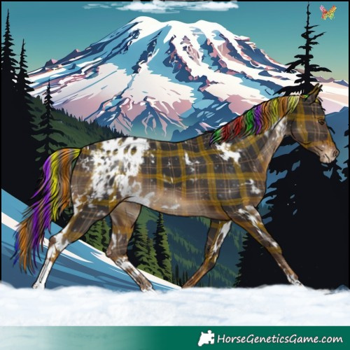 Horse Color:Painted Plaid  White Spotted Liver Chestnut Varnish 