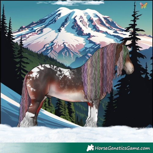 Horse Color:Painted Brown Tobiano