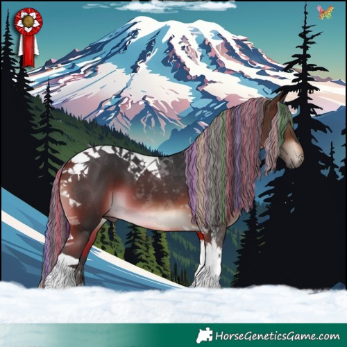 Horse Color:Painted Brown Tobiano 