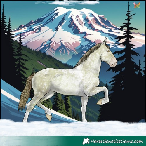 Horse Color:Watercolor Gold Champagne Ice Dun Tobiano