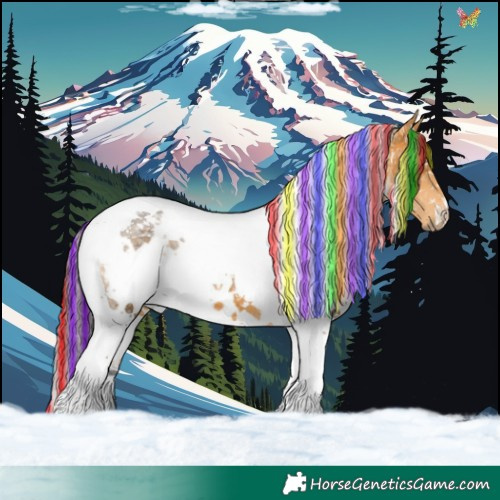 Horse Color:Painted White Spotted Buckskin Ice Tobiano