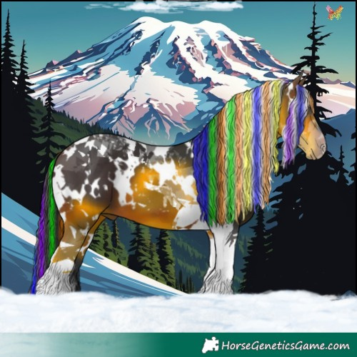 Horse Color:Painted White Spotted Brown Tobiano 
