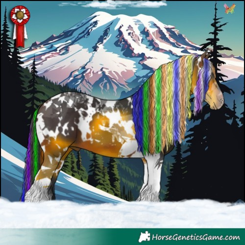 Horse Color:Painted White Spotted Brown Tobiano 
