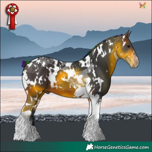 Horse Color:Painted White Spotted Brown Tobiano 