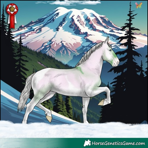 Horse Color:Watercolor Silver Bay Chinchilla Onyx Tobiano Appaloosa 