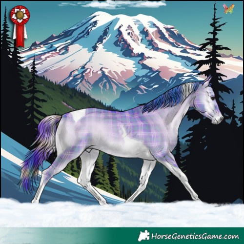Horse Color:Watercolor Plaid  Liver Red Dun Onyx Tobiano 