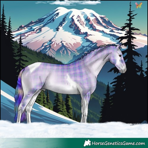 Horse Color:Watercolor Plaid  Liver Red Dun Onyx Tobiano 