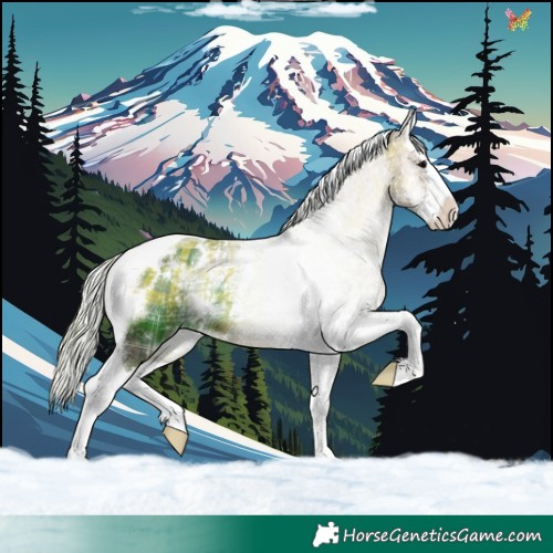 Horse Color:Plaid White Spotted Silver Blue Onyx Ice Splash Tobiano Rabicano