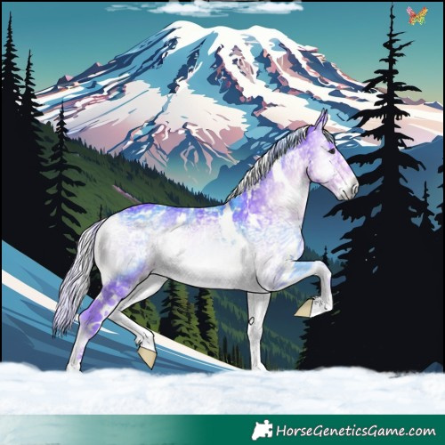 Horse Color:Watercolor White Spotted Silver Smoky Blue Onyx Chinchilla Ice Rabicano