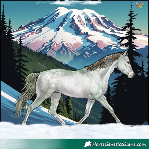 Horse Color:Watercolor White Spotted Liver Red Dun Ice Rabicano 