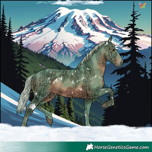 Horse Color:Watercolor White Spotted Silver Black Ice