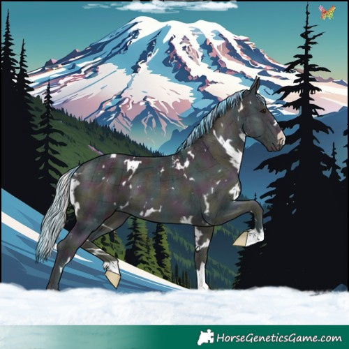 Horse Color:Watercolor Plaid  White Spotted Midnight Classic Cream Champagne Ice Onyx 