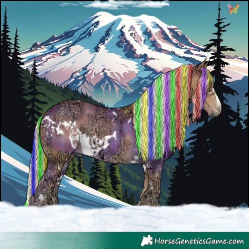 Horse Color:Painted Plaid  White Spotted Palomino Ice Rabicano 