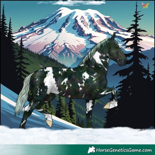 Horse Color:Watercolor Plaid White Spotted Midnight Silver Buckskin Ice