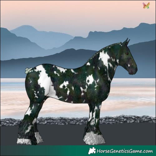 Horse Color:Watercolor Plaid  White Spotted Midnight Silver Buckskin Ice 