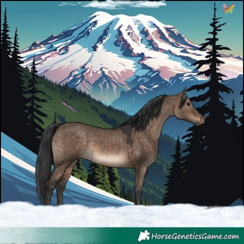 Horse Color:Brown Dun Rabicano 