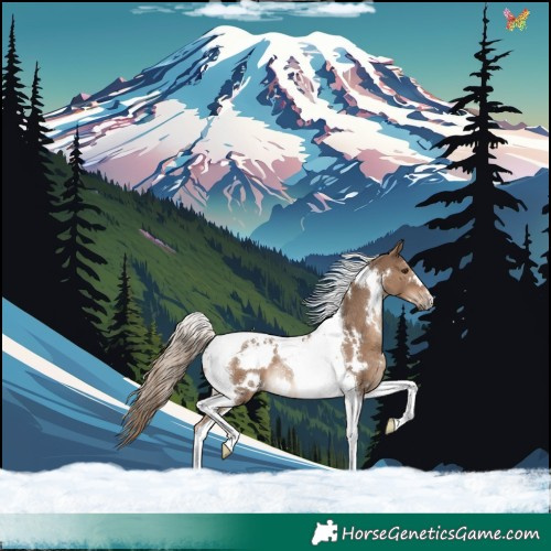 Horse Color:White Spotted Liver Red Dun Tobiano Rabicano 