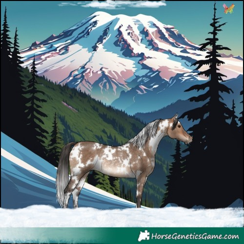 Horse Color:White Spotted Bay Dun Rabicano