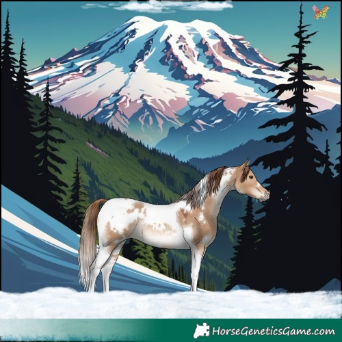 Horse Color:White Spotted Red Dun Tobiano Rabicano