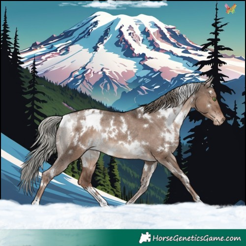 Horse Color:White Spotted Liver Red Dun Mushroom Varnish Rabicano 
