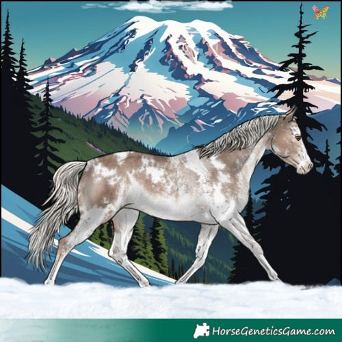 Horse Color:White Spotted Liver Red Dun Mushroom Varnish Rabicano 