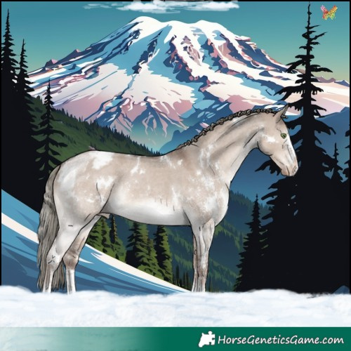 Horse Color:White Spotted Liver Red Dun Mushroom Sabino Appaloosa Rabicano